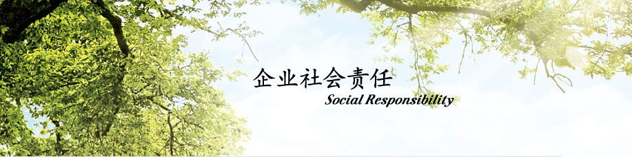 电动观光车厂家